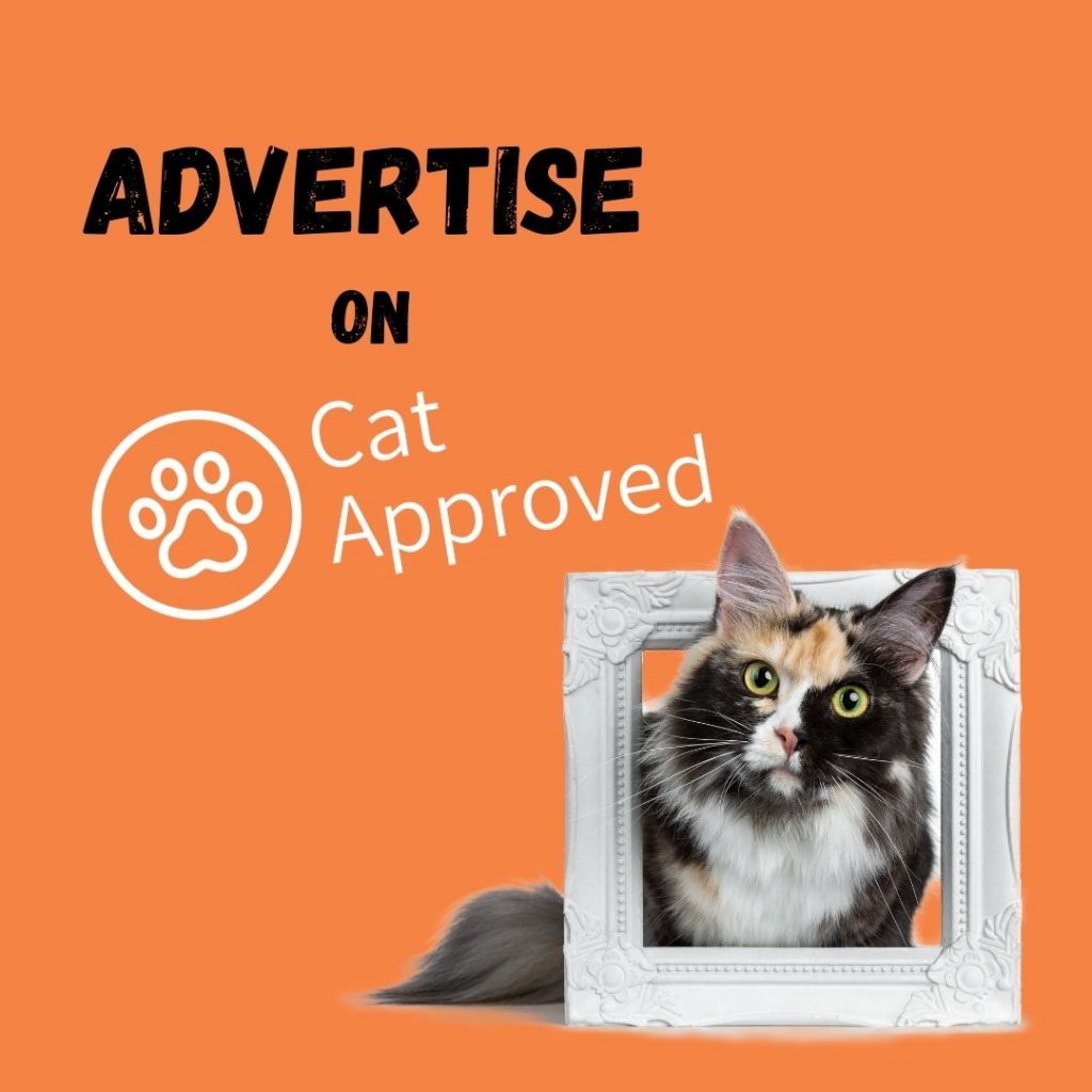 colaborare cat approved 