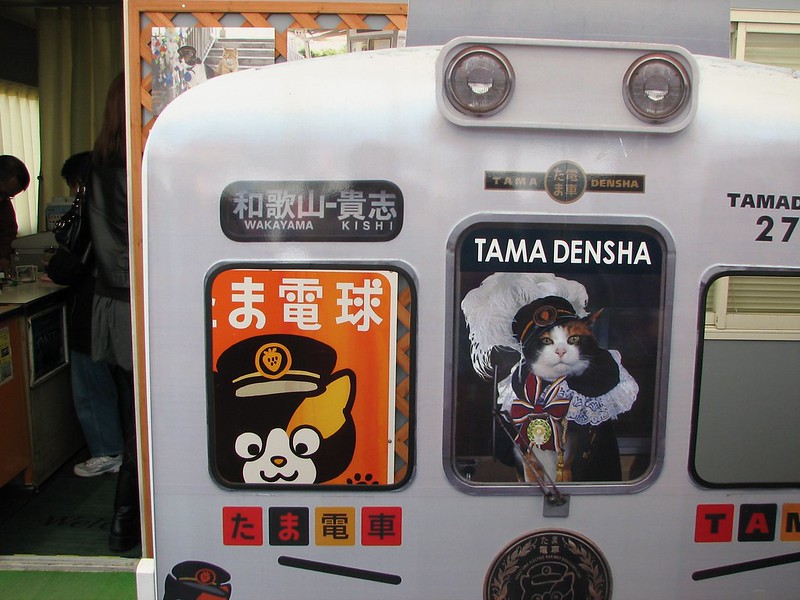 tama pisica japonia